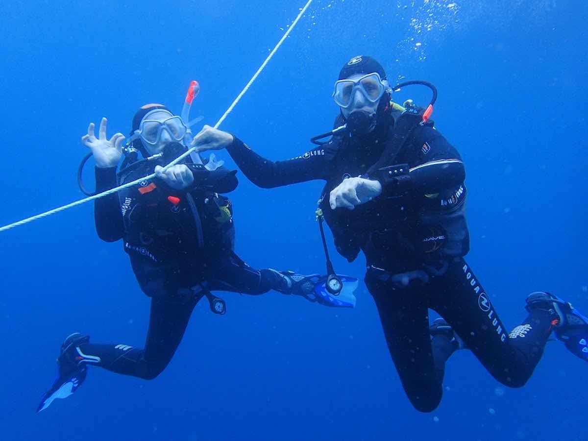 Best Spot Azores Dive Center photo 4
