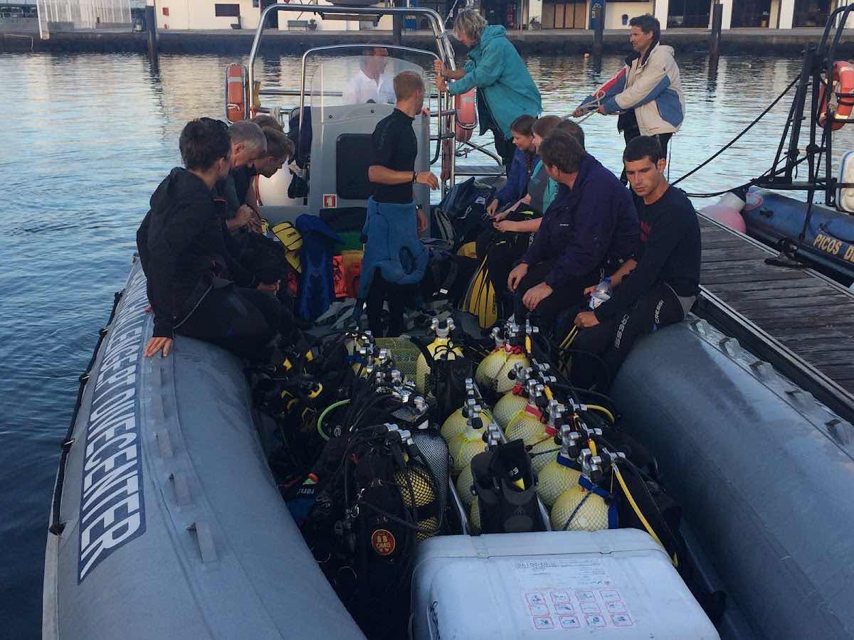 Best Spot Azores Dive Center photo 7
