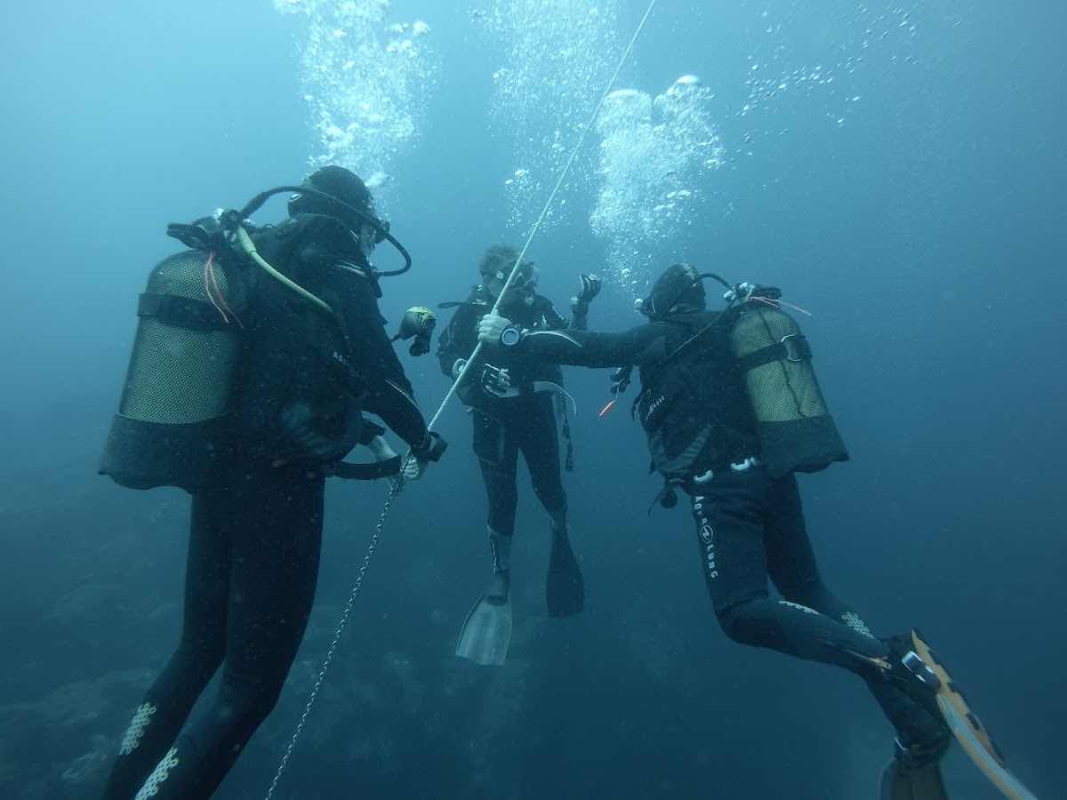 Best Spot Azores Dive Center photo 9
