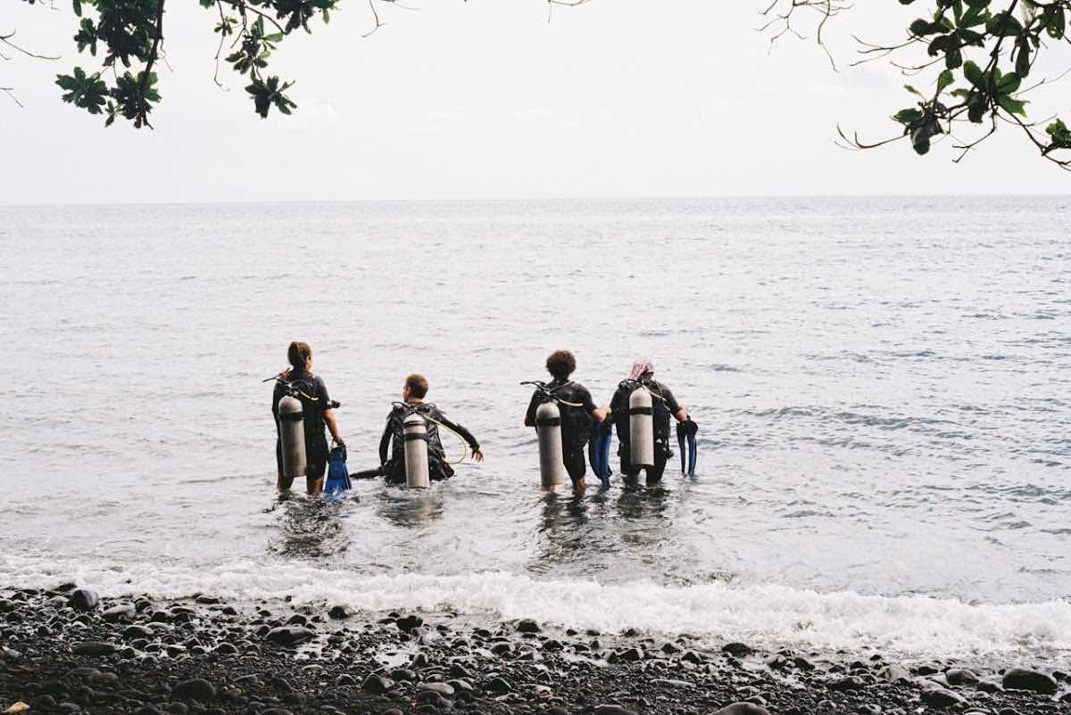 Black Amed Diving - Buceo en español photo 4