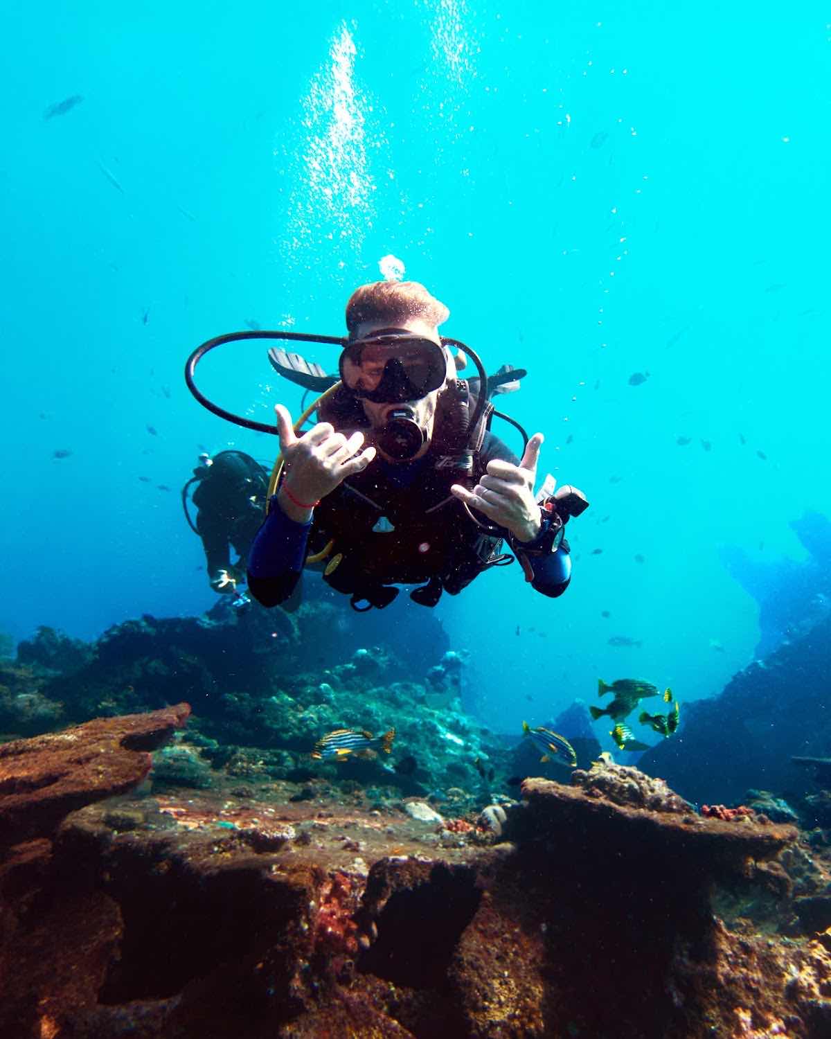 Black Amed Diving - Buceo en español photo 8