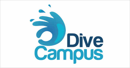 Training Dive Site, DiveCampus Dubai photo 2