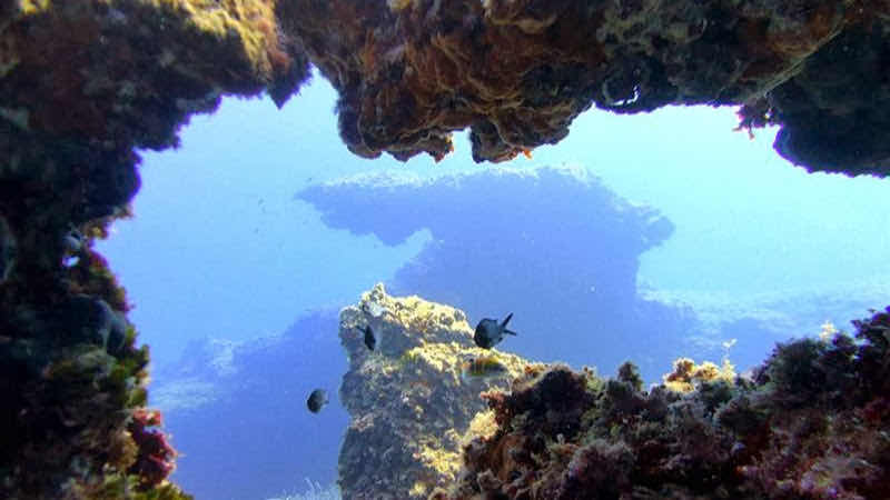 Kairos Diving Center - Sardegna photo 8