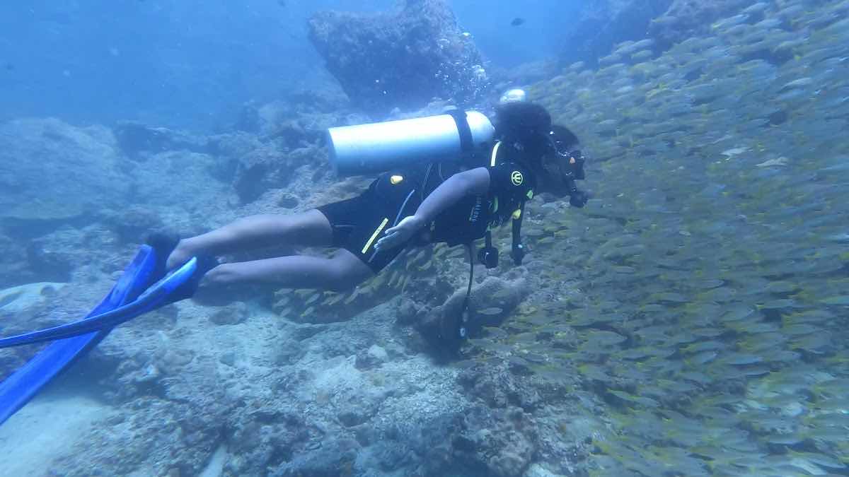 Sea Bees Diving - Phi Phi (SAii Phi Phi Island Village Resort) photo 3