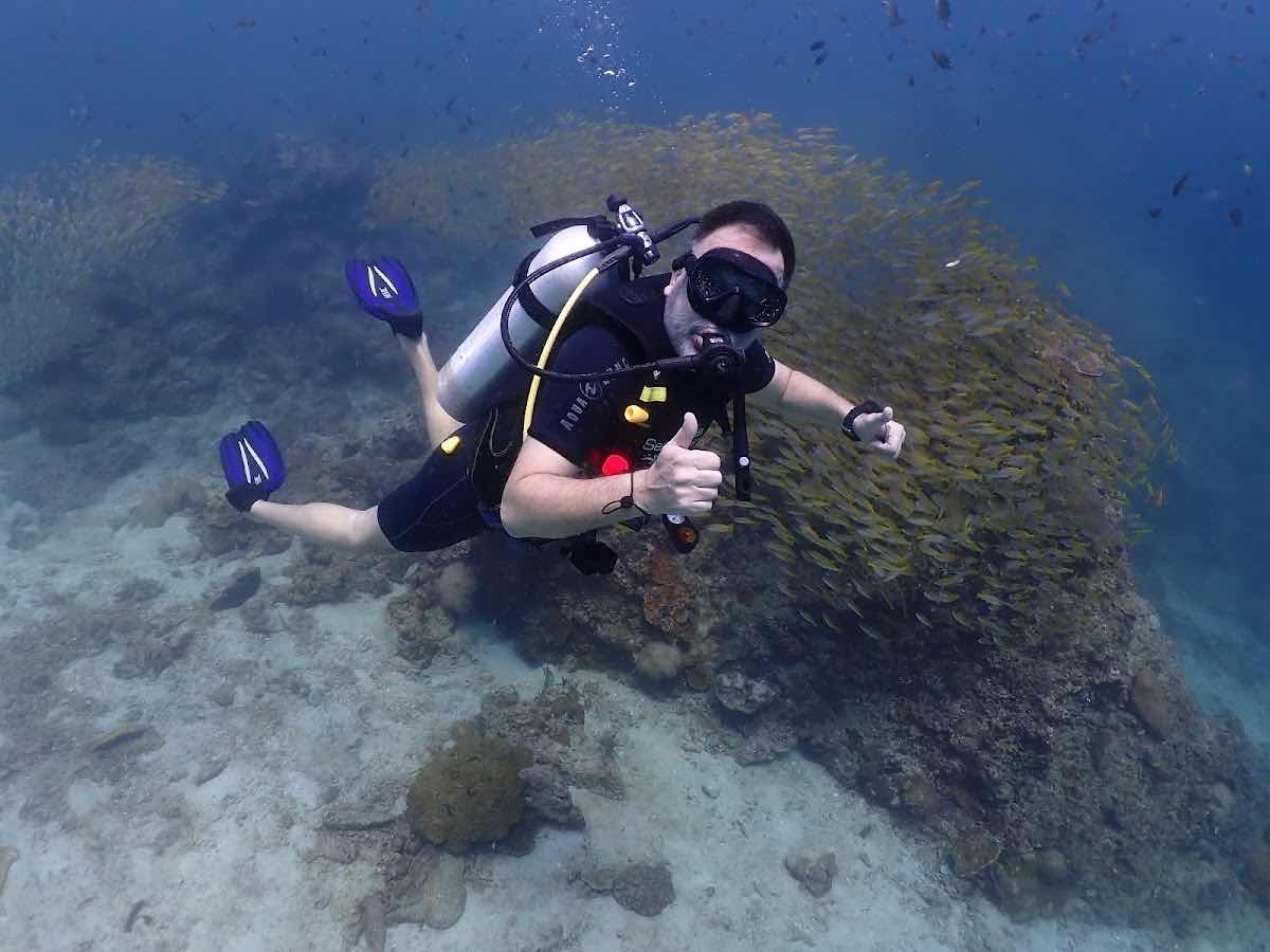 Sea Bees Diving - Phi Phi (SAii Phi Phi Island Village Resort) photo 7