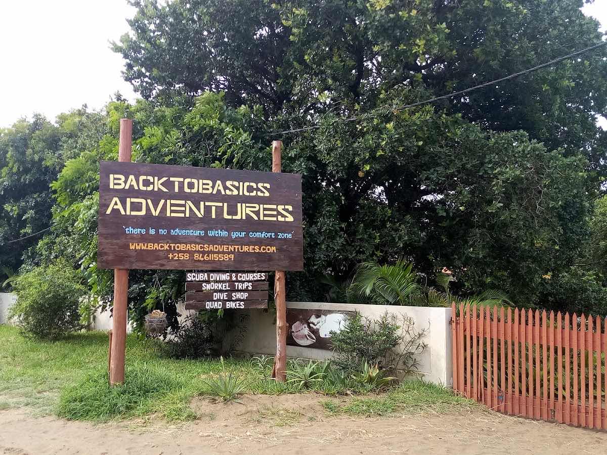 Back to Basics Adventures Scuba Diving photo 9
