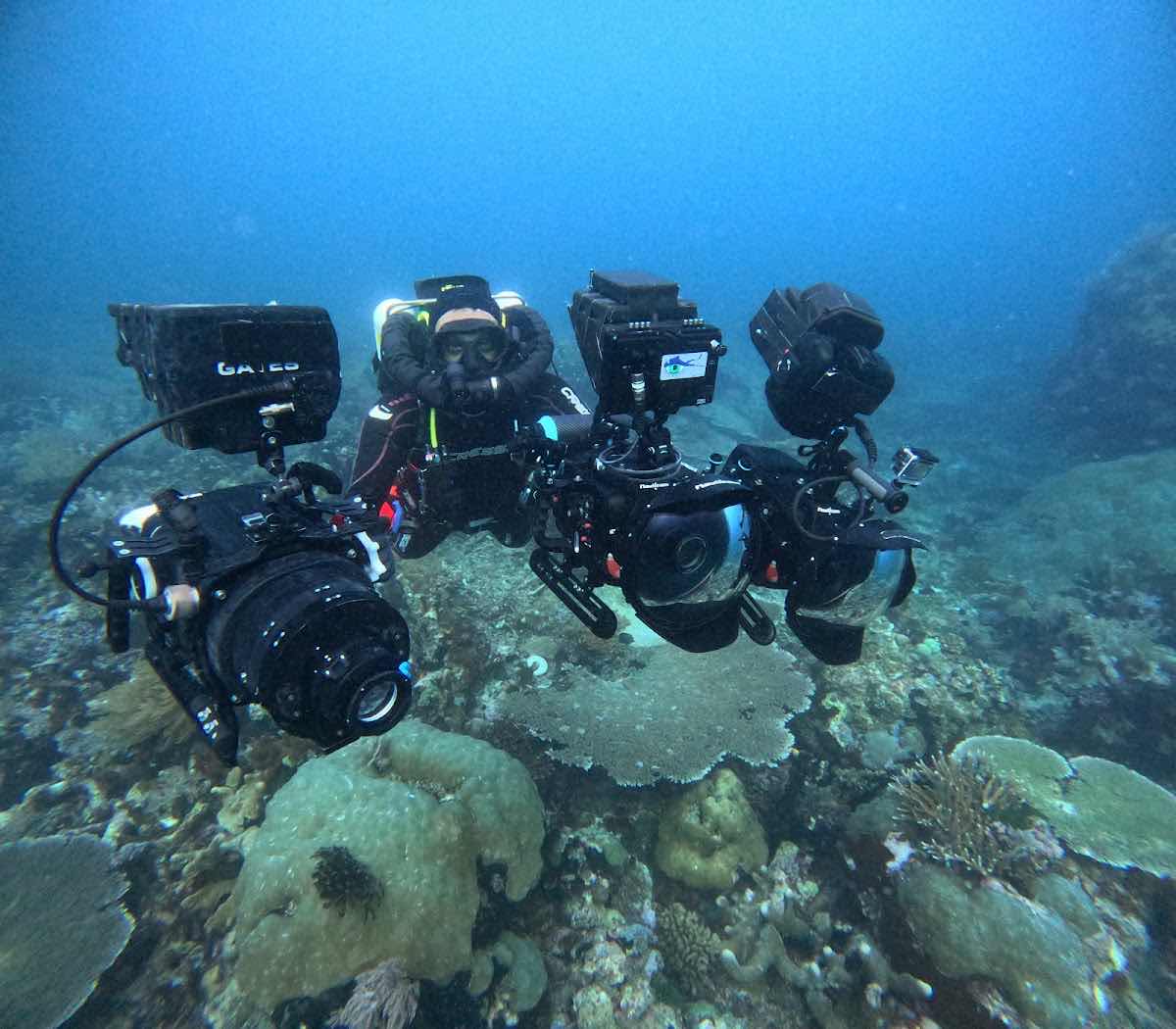 Penguin Expeditions Cia Ltda DIVE CENTER photo 4