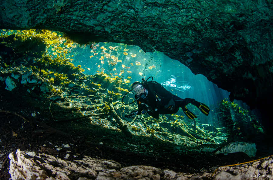 Kris Cros Diving photo 3