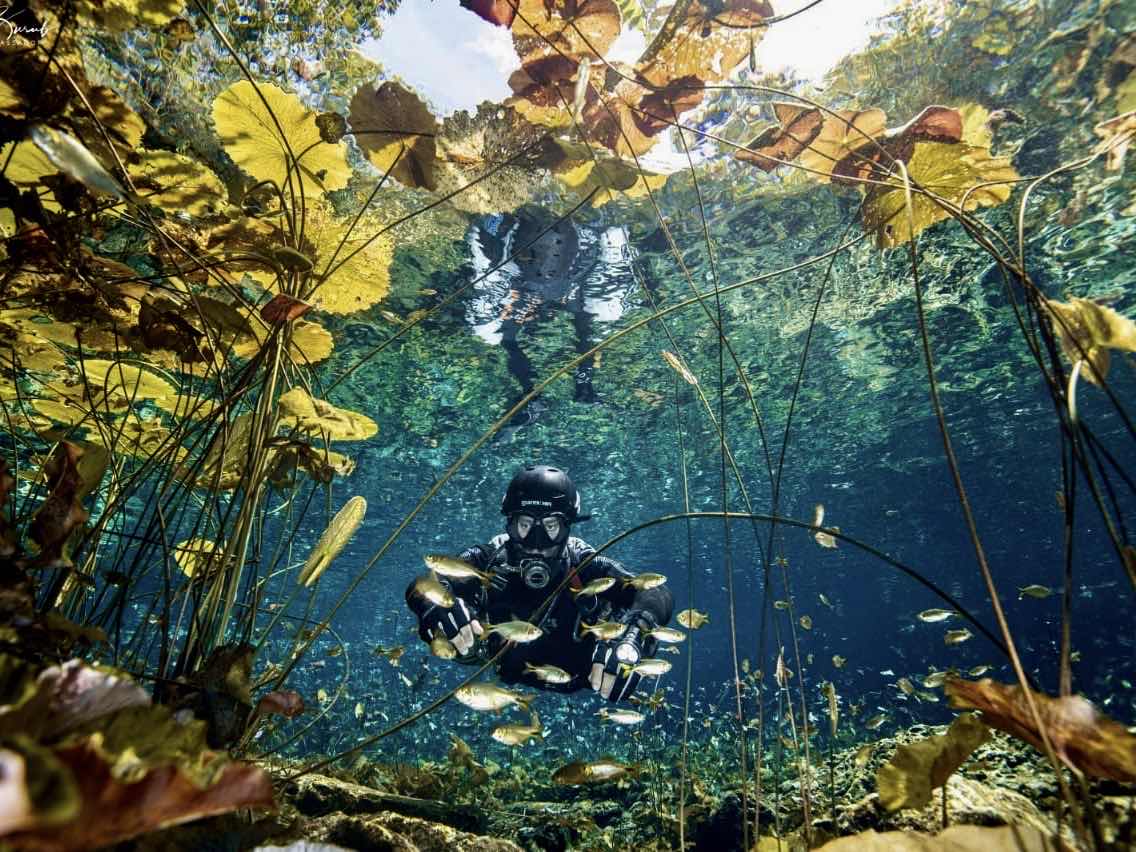 Kris Cros Diving photo 7