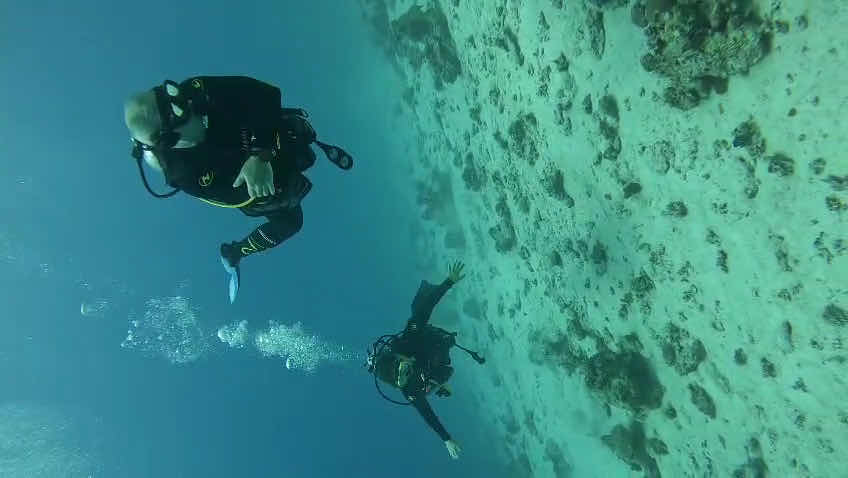 Diamond Red Sea - Diving in Hurghada photo 3