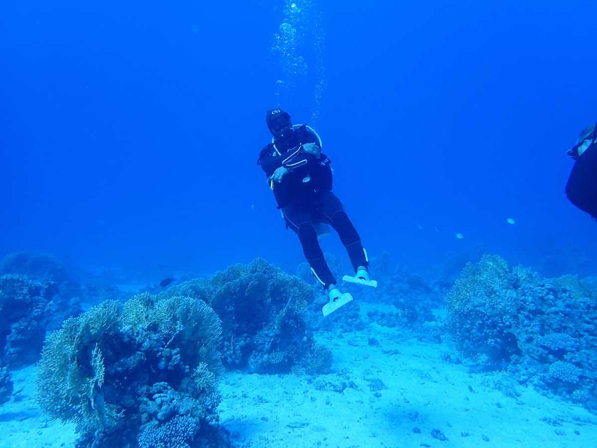 Diamond Red Sea - Diving in Hurghada photo 10