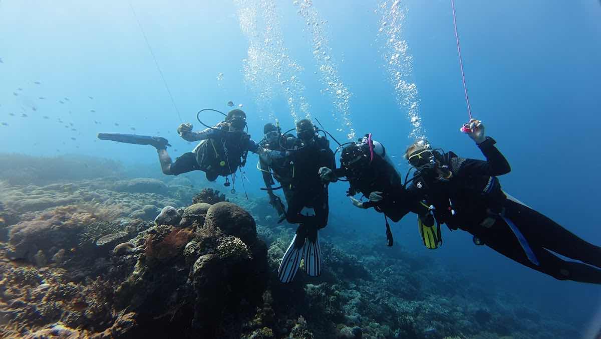 Sundari Voyages by Archipelago Reserve photo 2