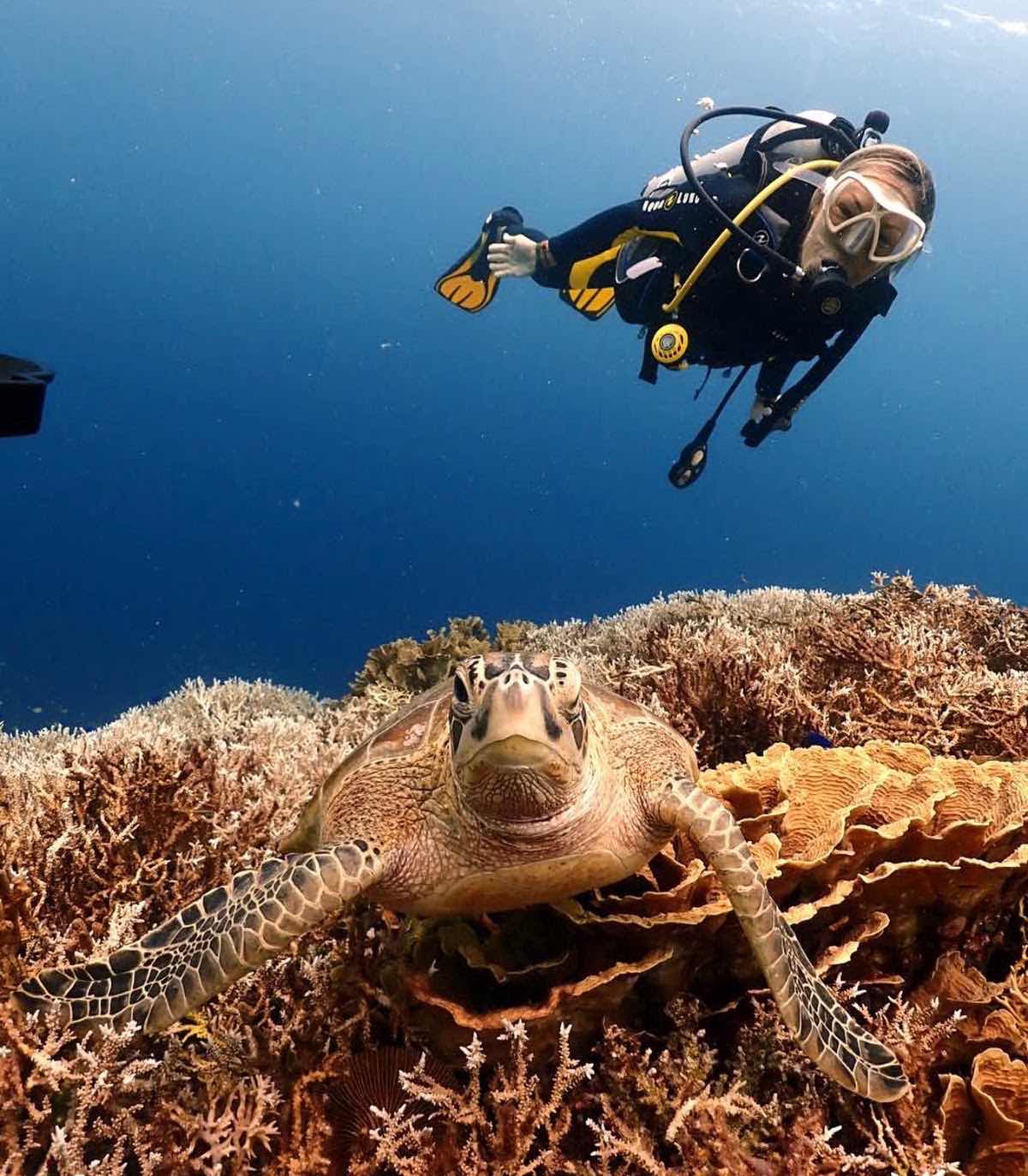 Alfa diving center photo 4