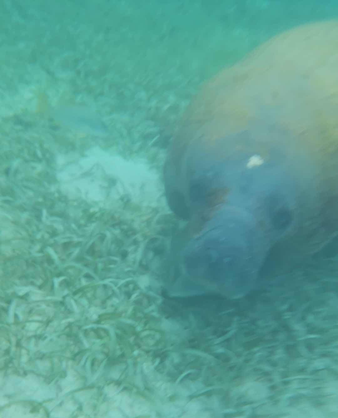 Searious Adventures photo 2