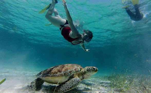 Searious Adventures photo 4