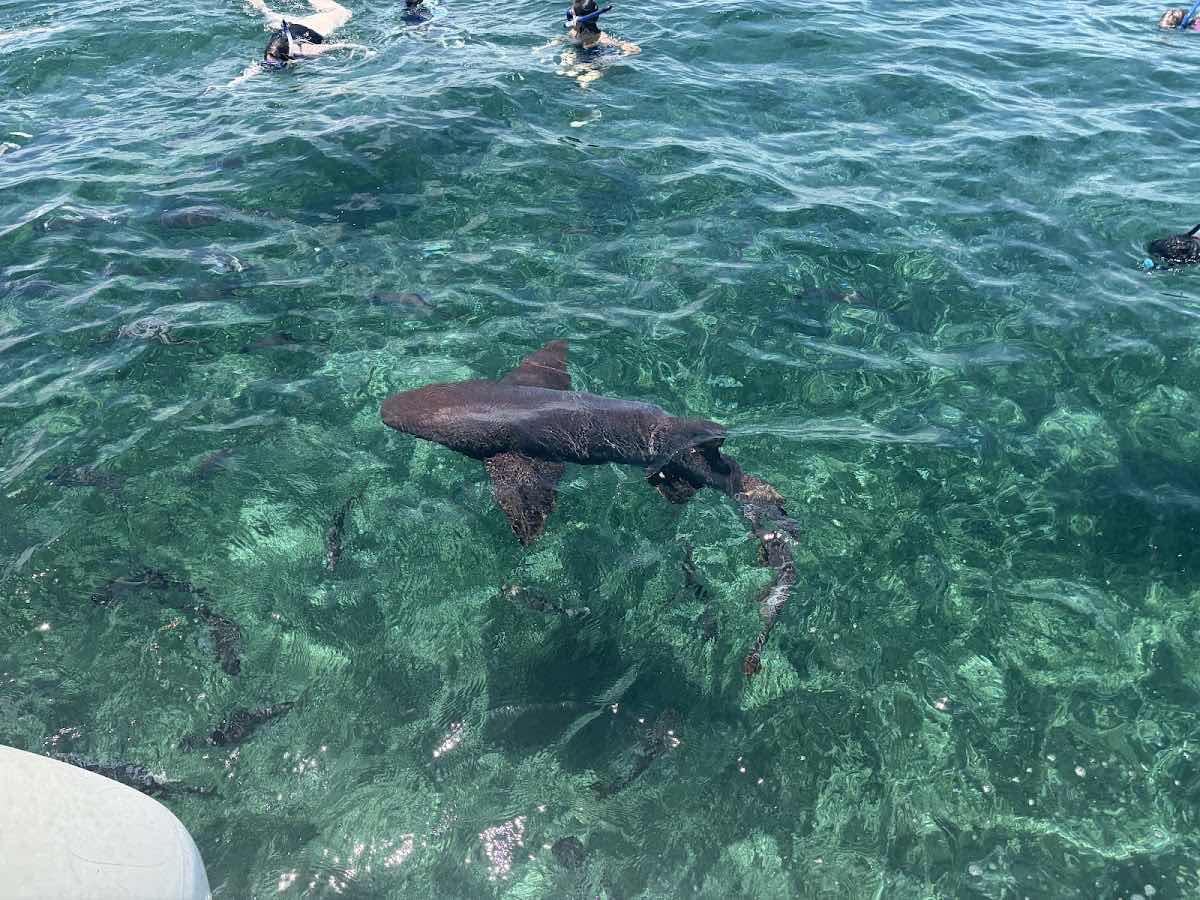 Searious Adventures photo 6