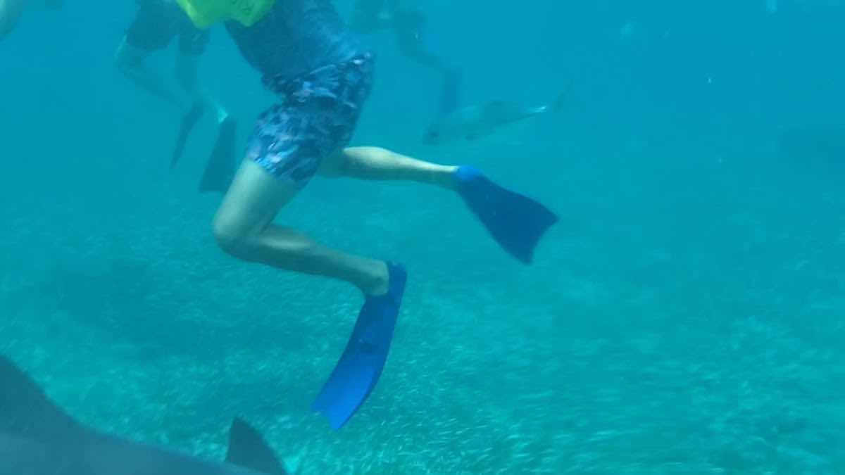 Searious Adventures photo 9