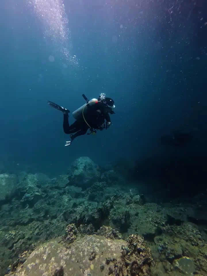 Seahorse Diving Club photo 3