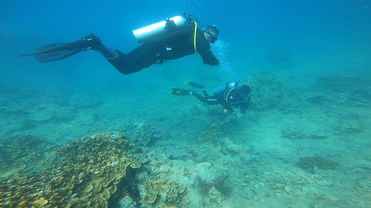 Seahorse Diving Club photo 7