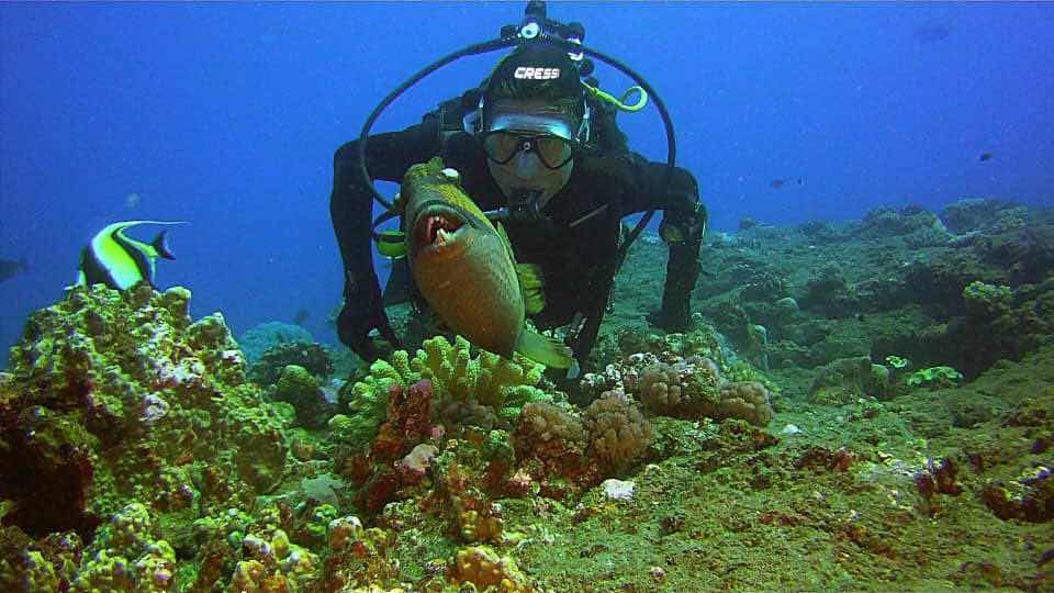 Corail Plongée : École de Plongée Saint Gilles La Reunion photo 8