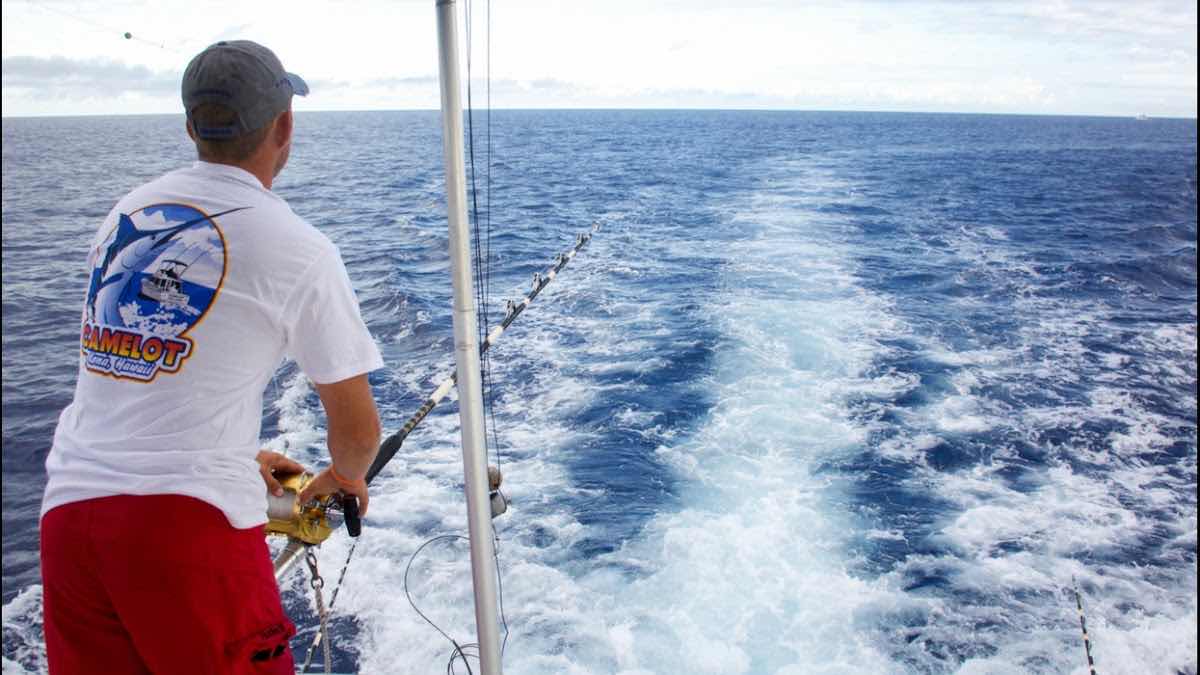 Top Shot Spearfishing photo 8