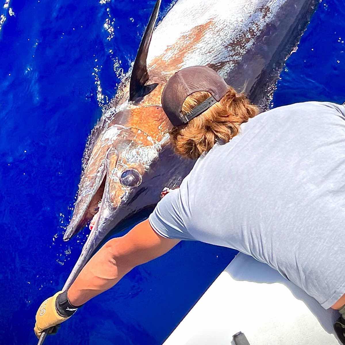 Top Shot Spearfishing photo 9