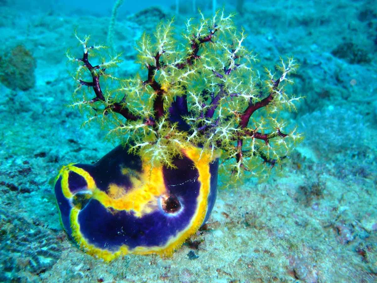 Aqua Ventures – Ocean Sports photo 2