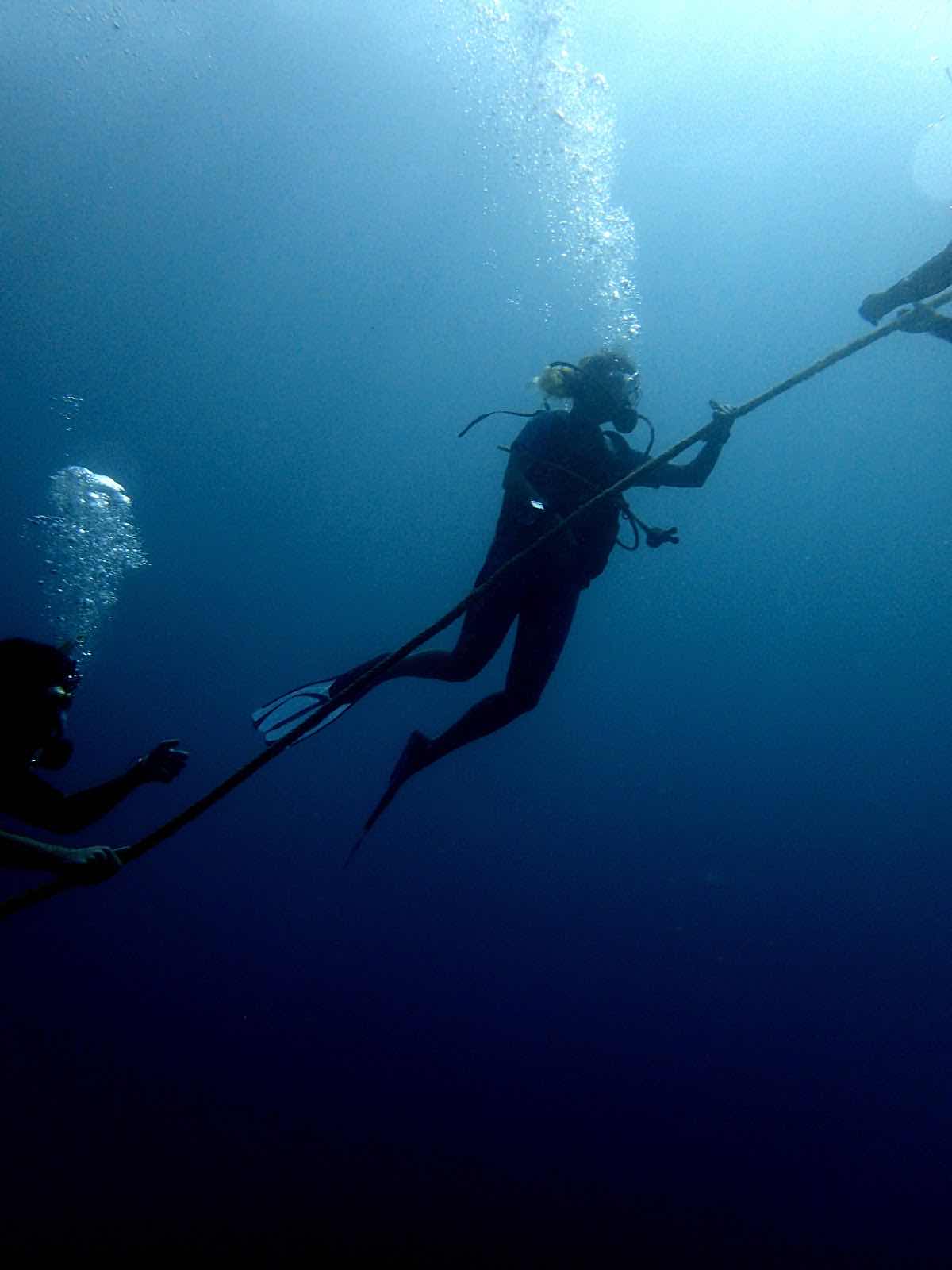 Aqua Ventures – Ocean Sports photo 5