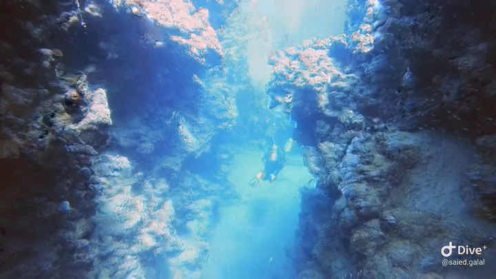 PADI diving instructor Sharm photo 2