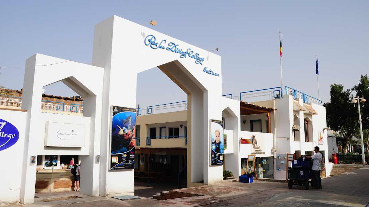 PADI diving instructor Sharm photo 5