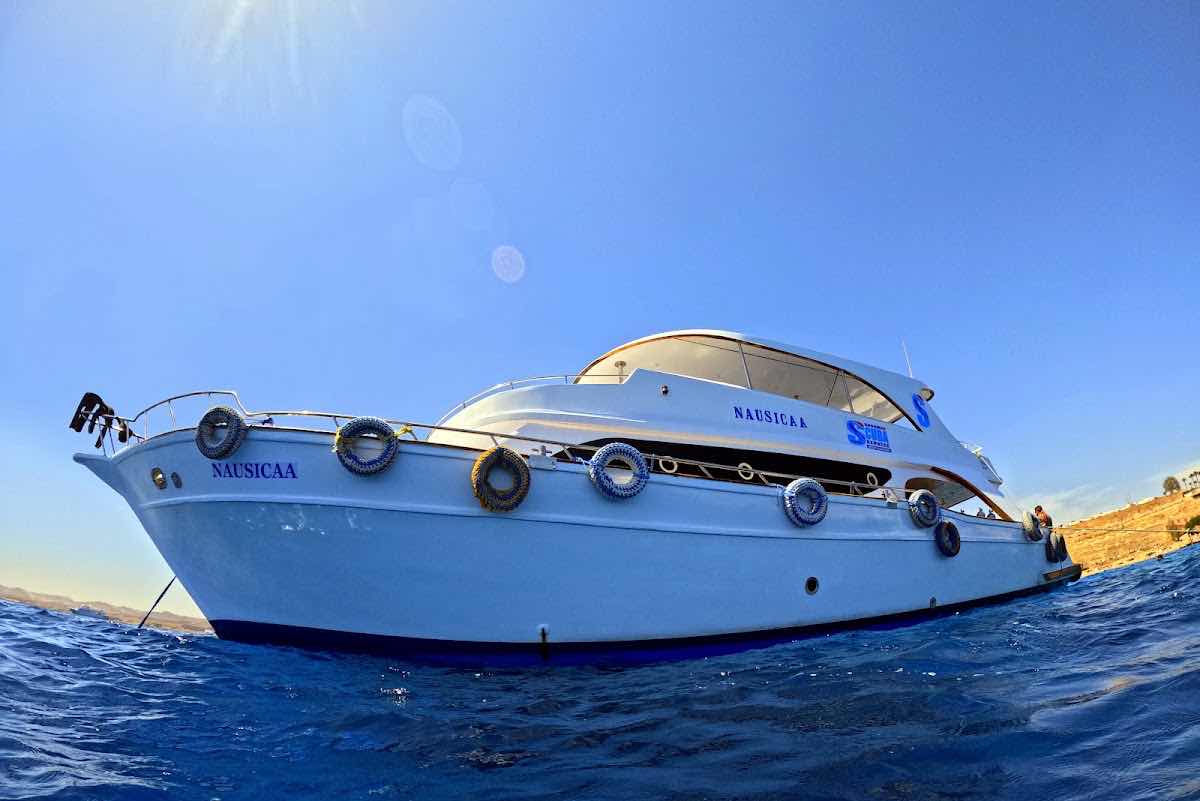 PADI diving instructor Sharm photo 8