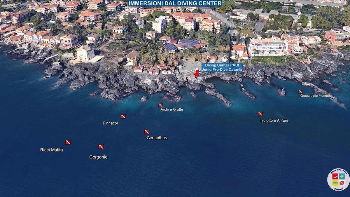 Jonio Pro-Dive Catania Diving PADI photo 1