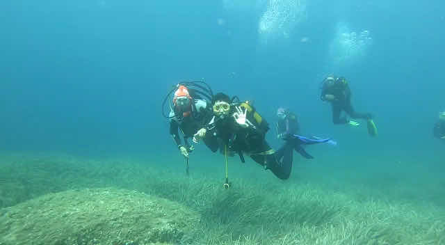 Barracuda Diving Center photo 3
