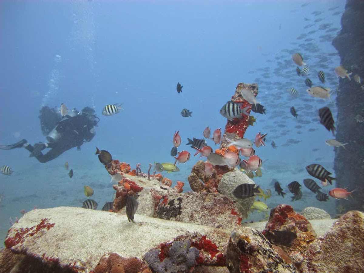 St. Croix Ultimate Bluewater Adventures photo 10