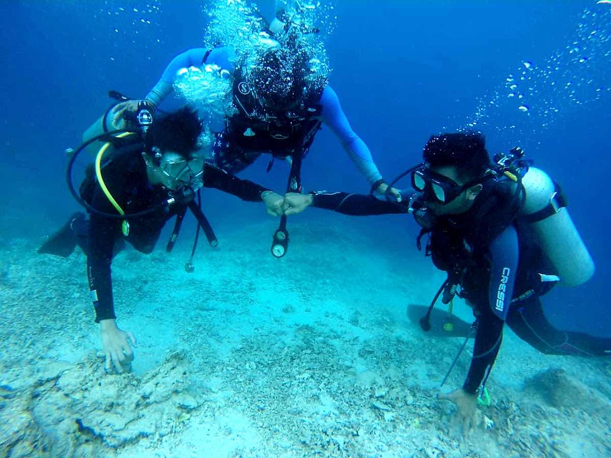 Ambon Dive Center photo 8