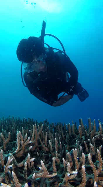 Ambon Dive Center photo 9