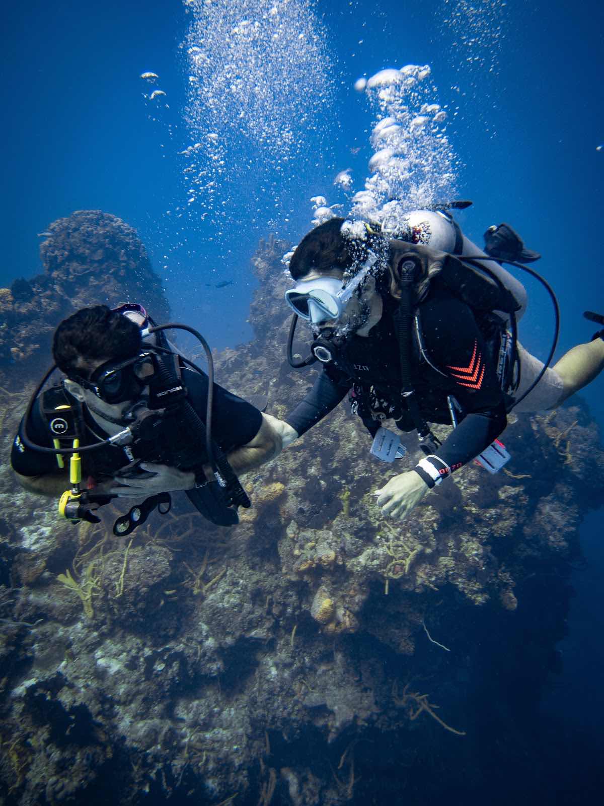 Aqua Divers Cozumel photo 1