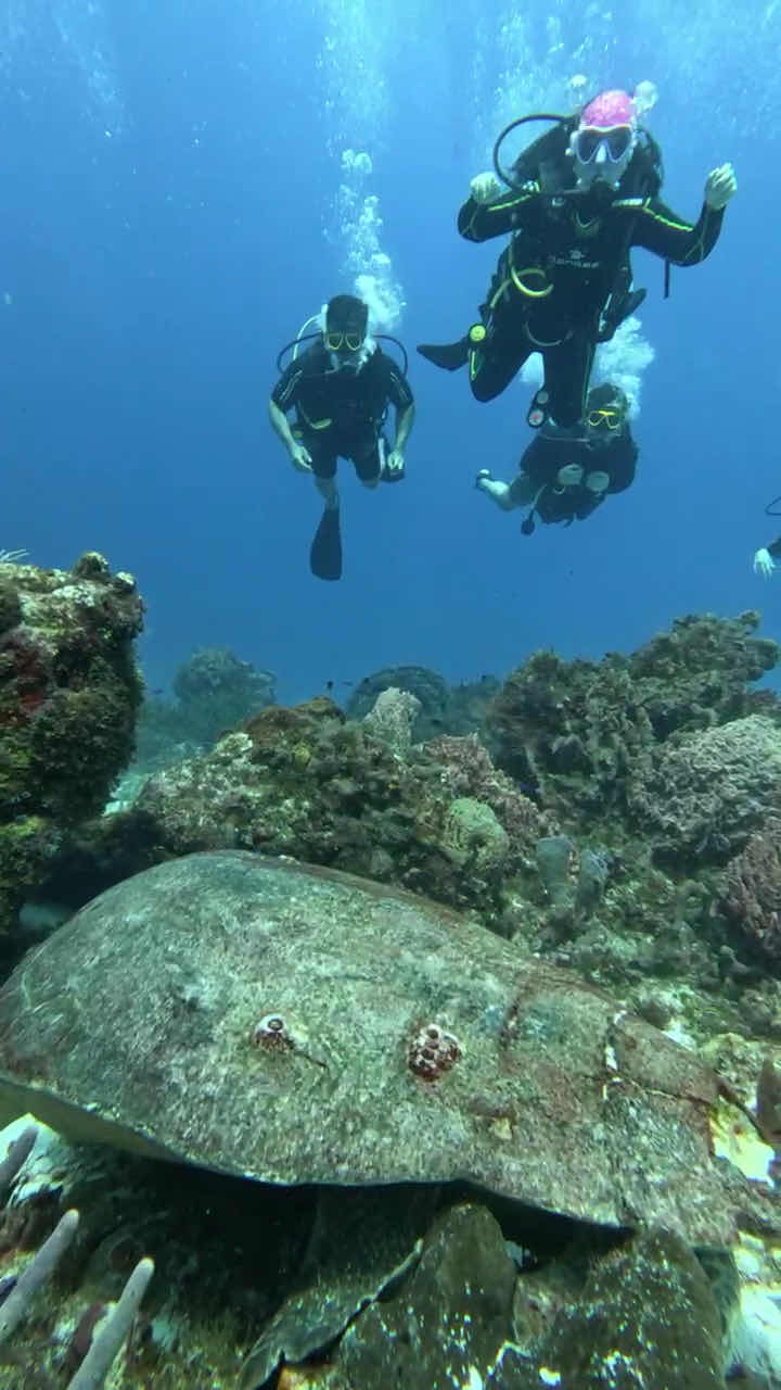 Aqua Divers Cozumel photo 4