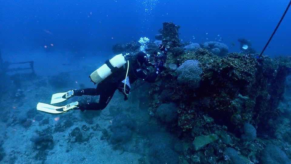 AX Factor Dive photo 3