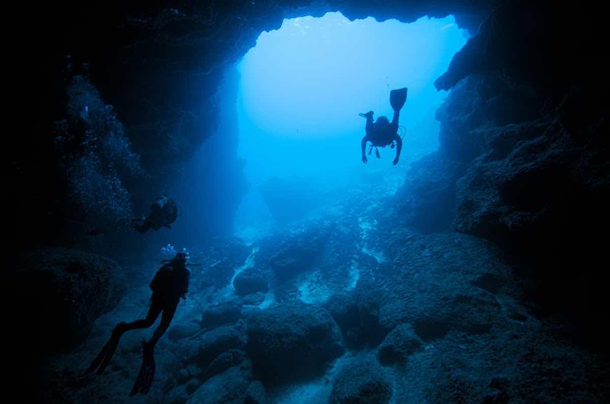 AX Factor Dive photo 4