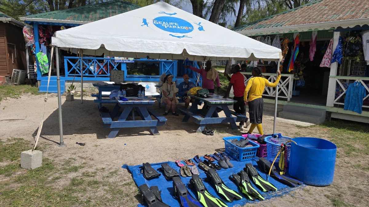 Eastern Caribbean Diving Limited photo 9