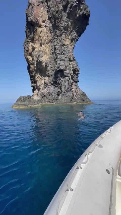 Aquatica Diving & Marine research photo 3