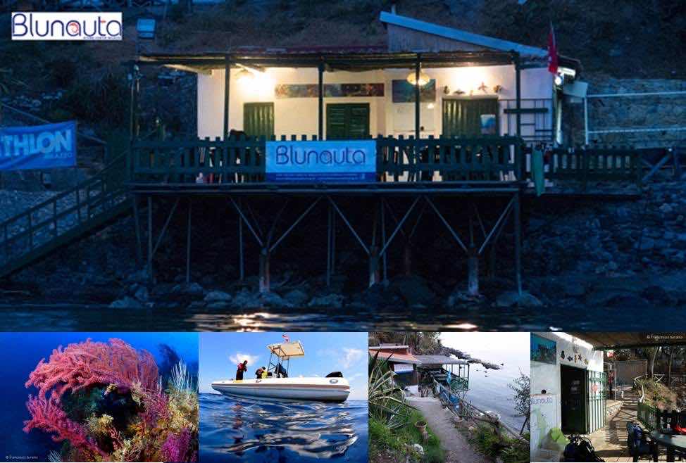 Aquatica Diving & Marine research photo 6