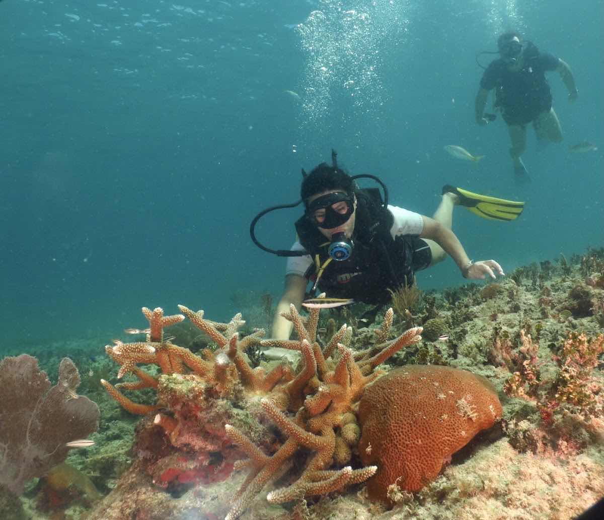 Atlantis Varadero Coral Beach Base photo 2
