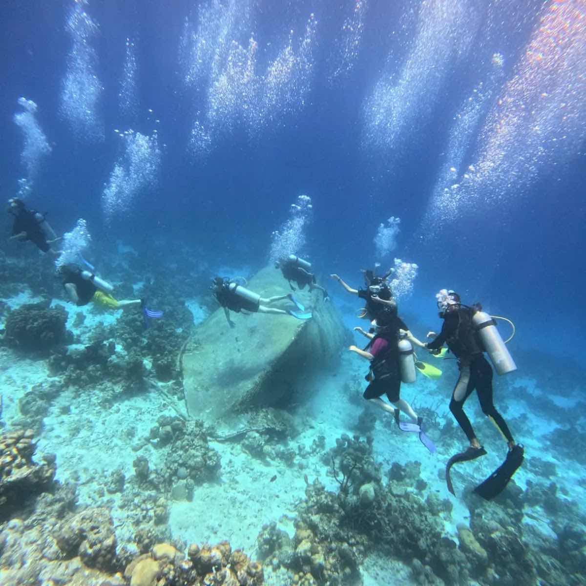 Atlantis Varadero Coral Beach Base photo 4