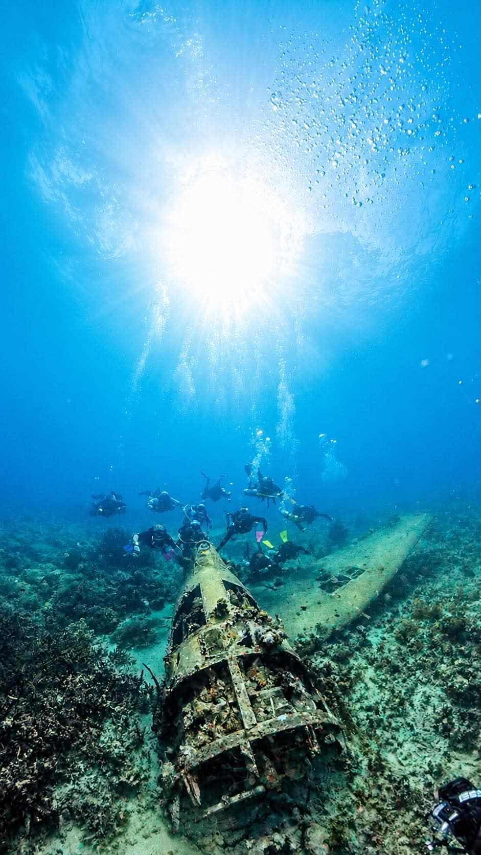 Dive Gizo photo 2