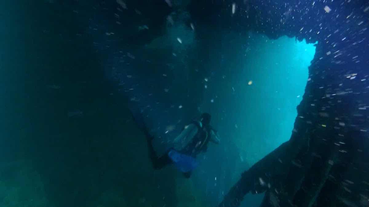 Dive Gizo photo 3