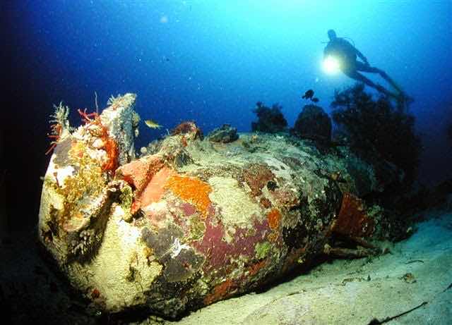 Dive Gizo photo 6