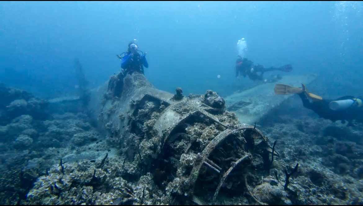 Dive Gizo photo 10