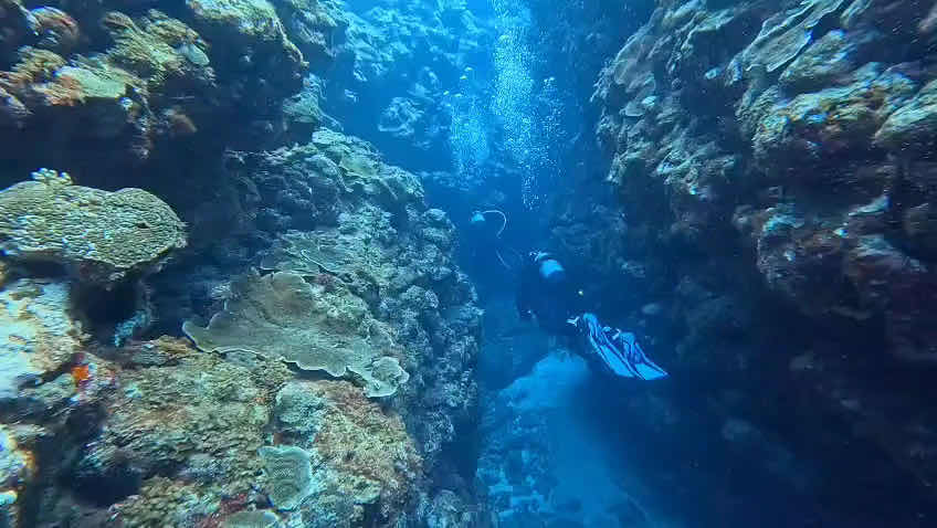 Kawai diving & fisherman's guest house photo 6